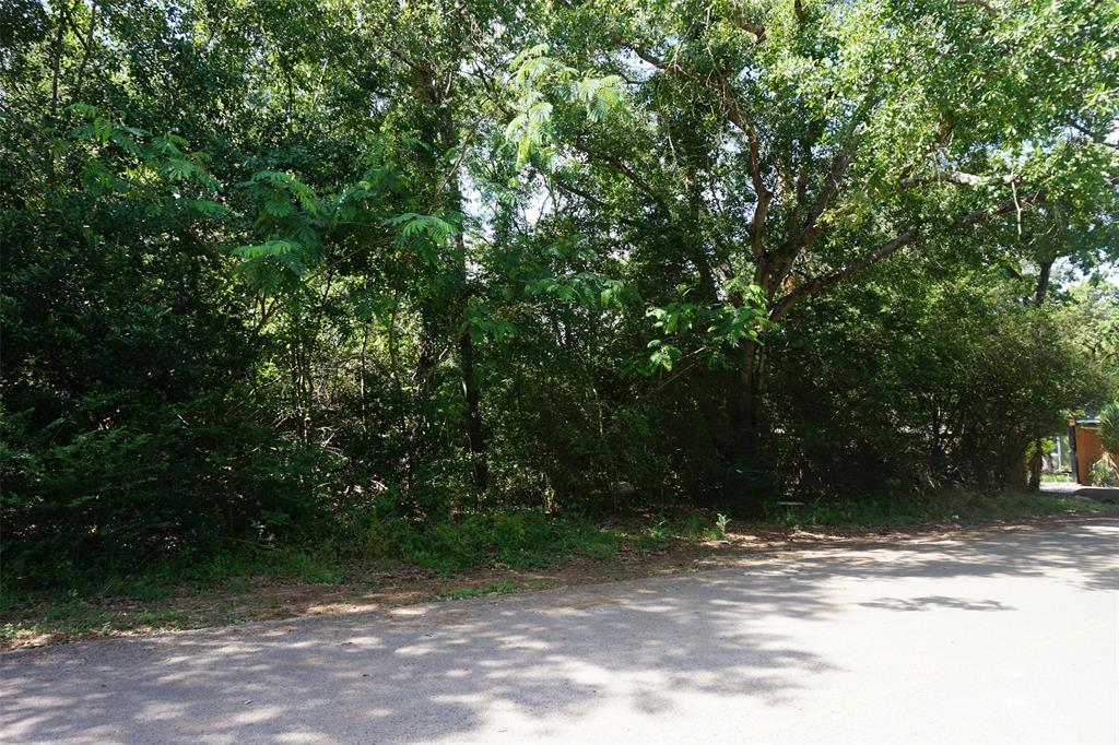 14915 Cactus Wren Drive, Tomball, Texas image 5