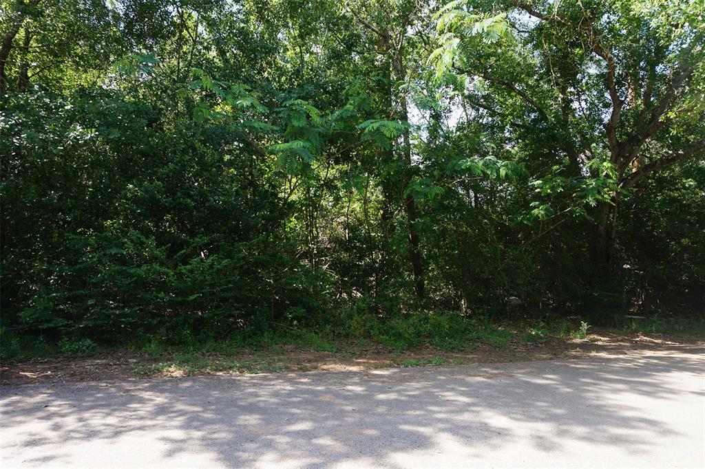 14915 Cactus Wren Drive, Tomball, Texas image 4
