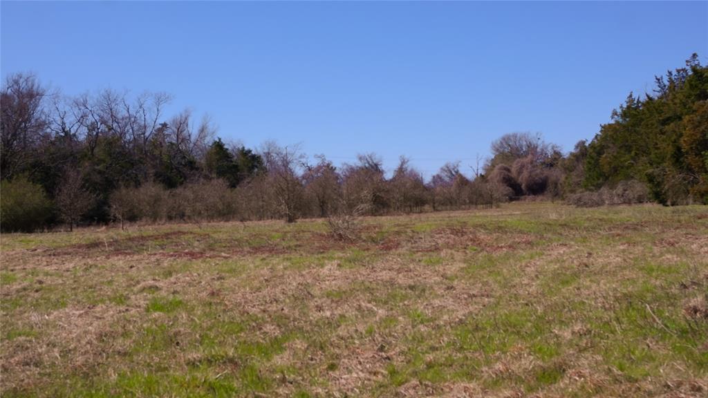 TBD Highway 7 W, Marquez, Texas image 7