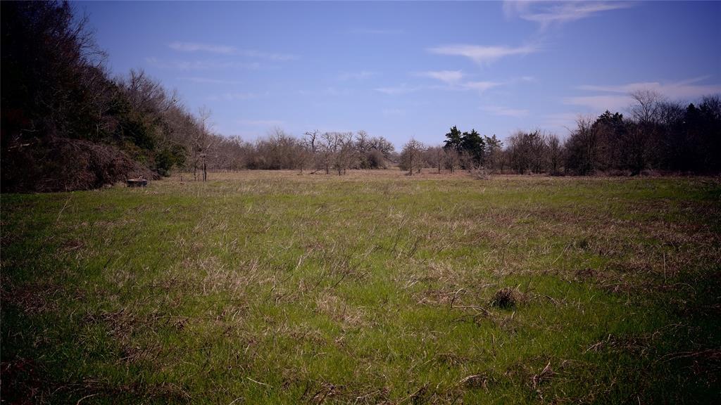 TBD Highway 7 W, Marquez, Texas image 1