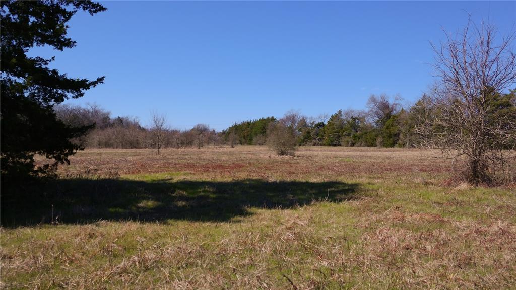 TBD Highway 7 W, Marquez, Texas image 10