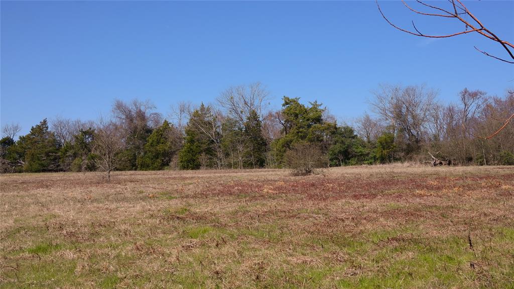 TBD Highway 7 W, Marquez, Texas image 9