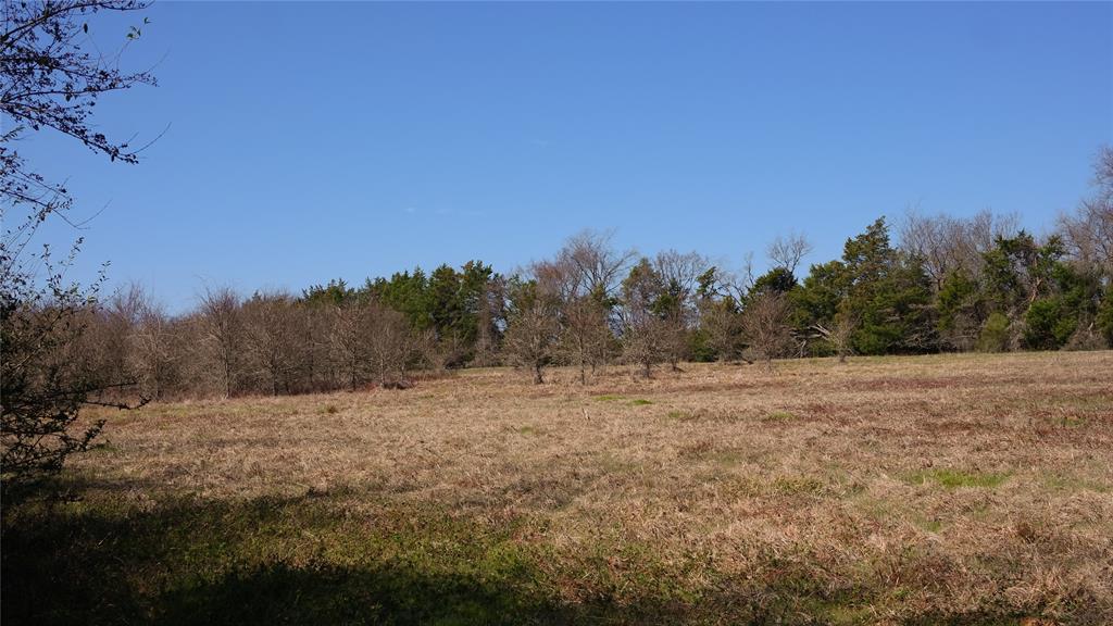 TBD Highway 7 W, Marquez, Texas image 8