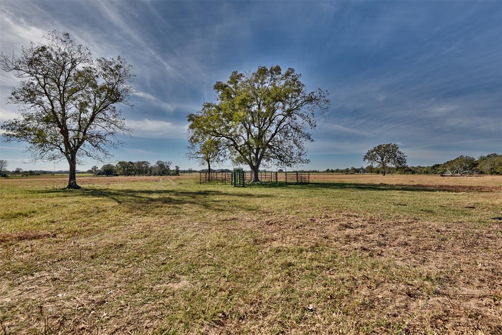 7959 Highway 36, Sealy, Texas image 8