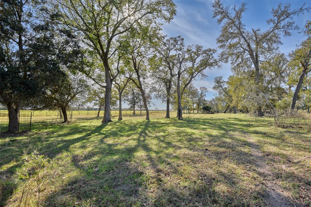 7959 Highway 36, Sealy, Texas image 3