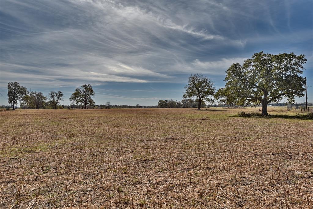 7959 Highway 36, Sealy, Texas image 7