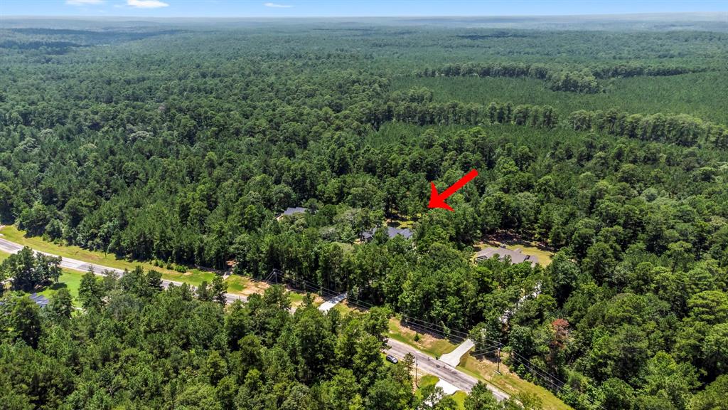 207 Fire Sky Road, Huntsville, Texas image 40