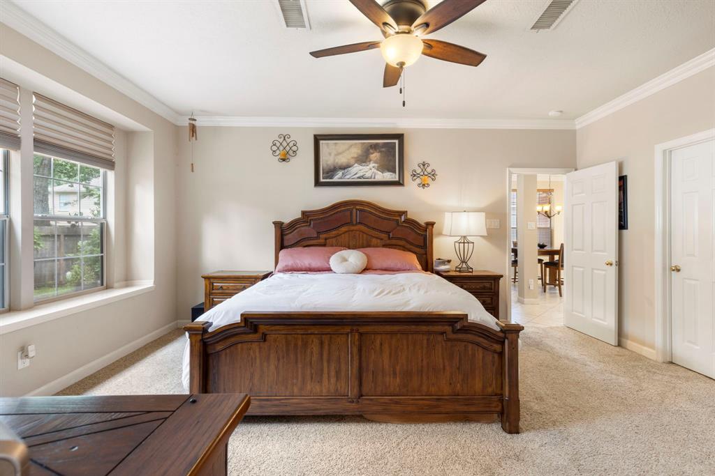 26 E Trillium Circle, The Woodlands, Texas image 19