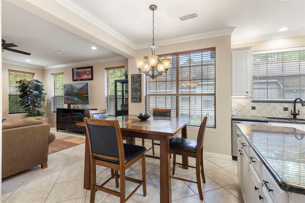 26 E Trillium Circle, The Woodlands, Texas image 12