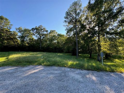 Photo of 179 N Forest Drive, Huntsville, TX 77340 (MLS # 54590217)