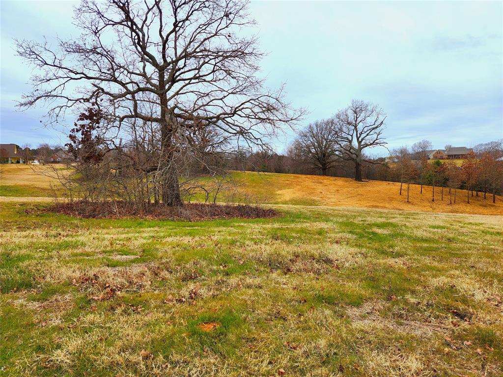 Clear View Court, Athens, Texas image 8