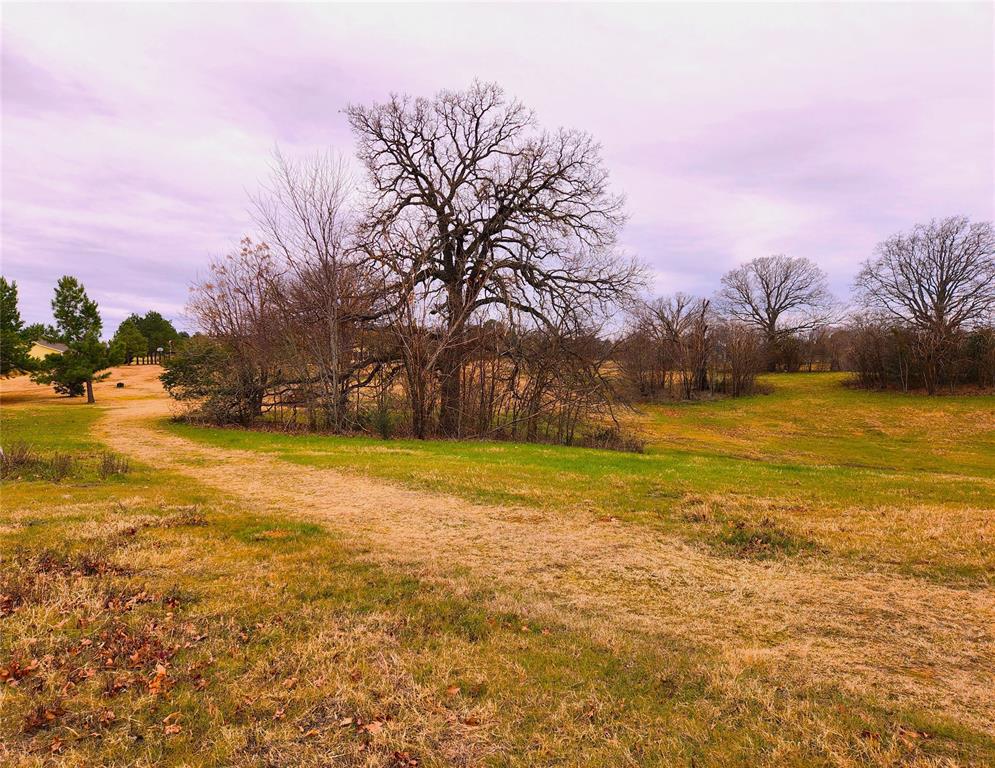 Clear View Court, Athens, Texas image 21