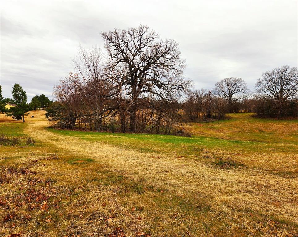 Clear View Court, Athens, Texas image 20