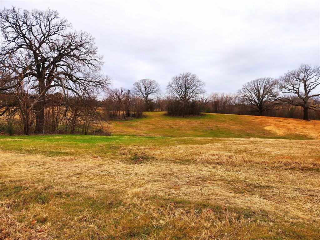 Clear View Court, Athens, Texas image 19