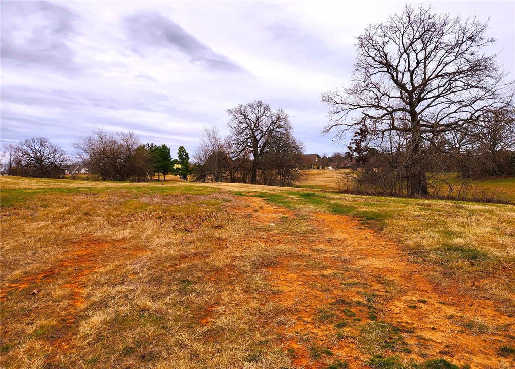 Clear View Court, Athens, Texas image 4