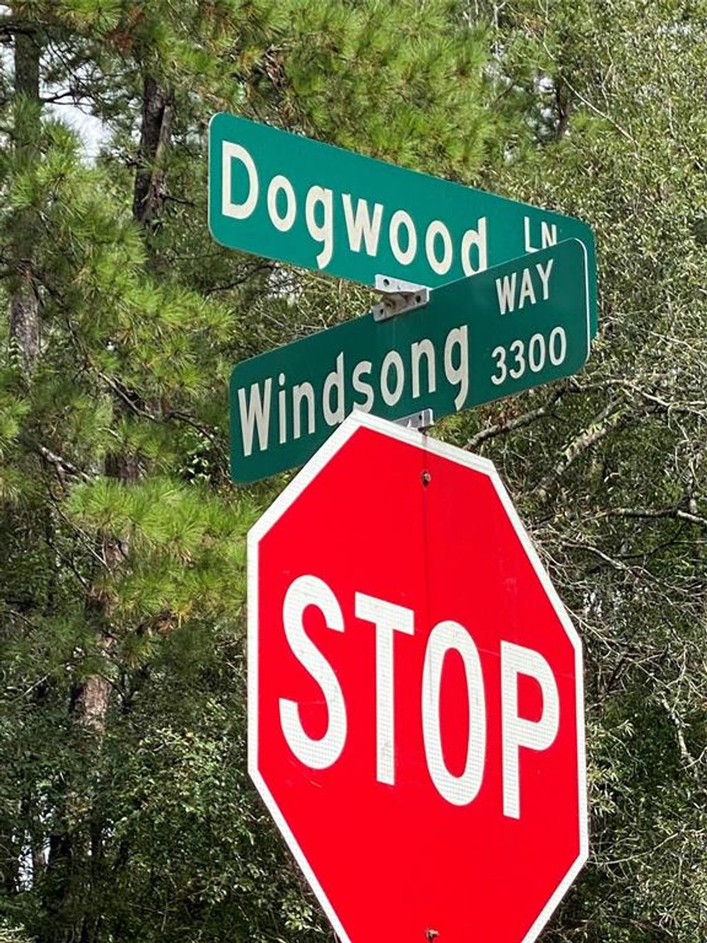 Photo of 47 Dogwood Lane, Porter, TX 77365 (MLS # 74256707)