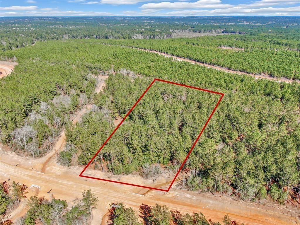 15388 Forest Grove Drive, Willis, Texas image 3