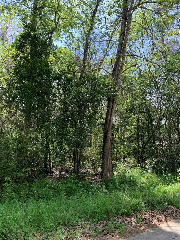 TBD LOT98 Peach Drive, New Caney, Texas image 10