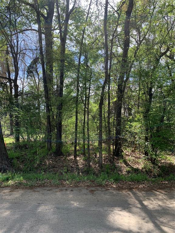 TBD LOT98 Peach Drive, New Caney, Texas image 6