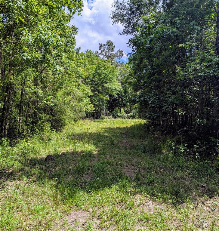 TBD County Road 190, Liberty, Texas image 3