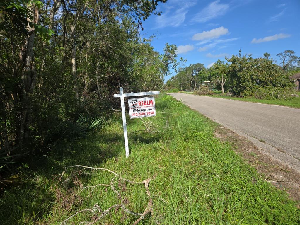 County Road 510 Z, Brazoria, Texas image 1