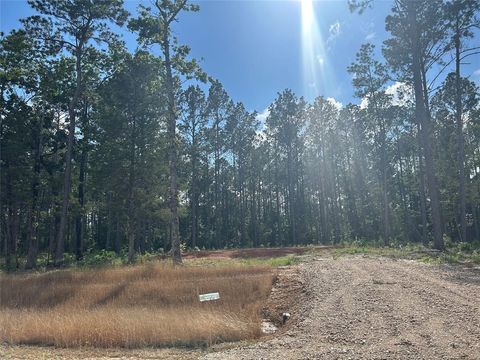 11327 Annie Creek Drive Willis TX 77378