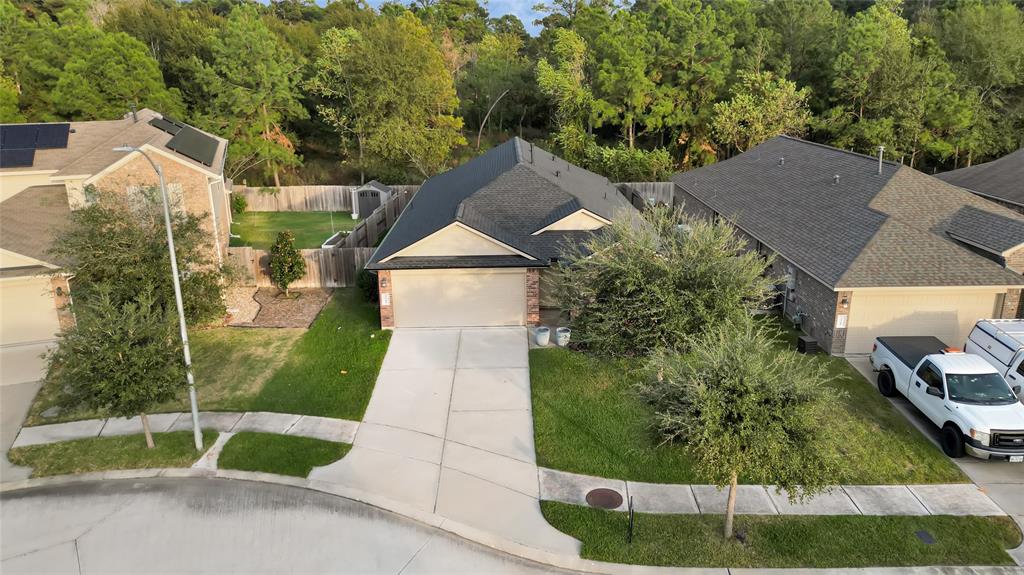 23714 Umbrella Pine Drive, Tomball, Texas image 23