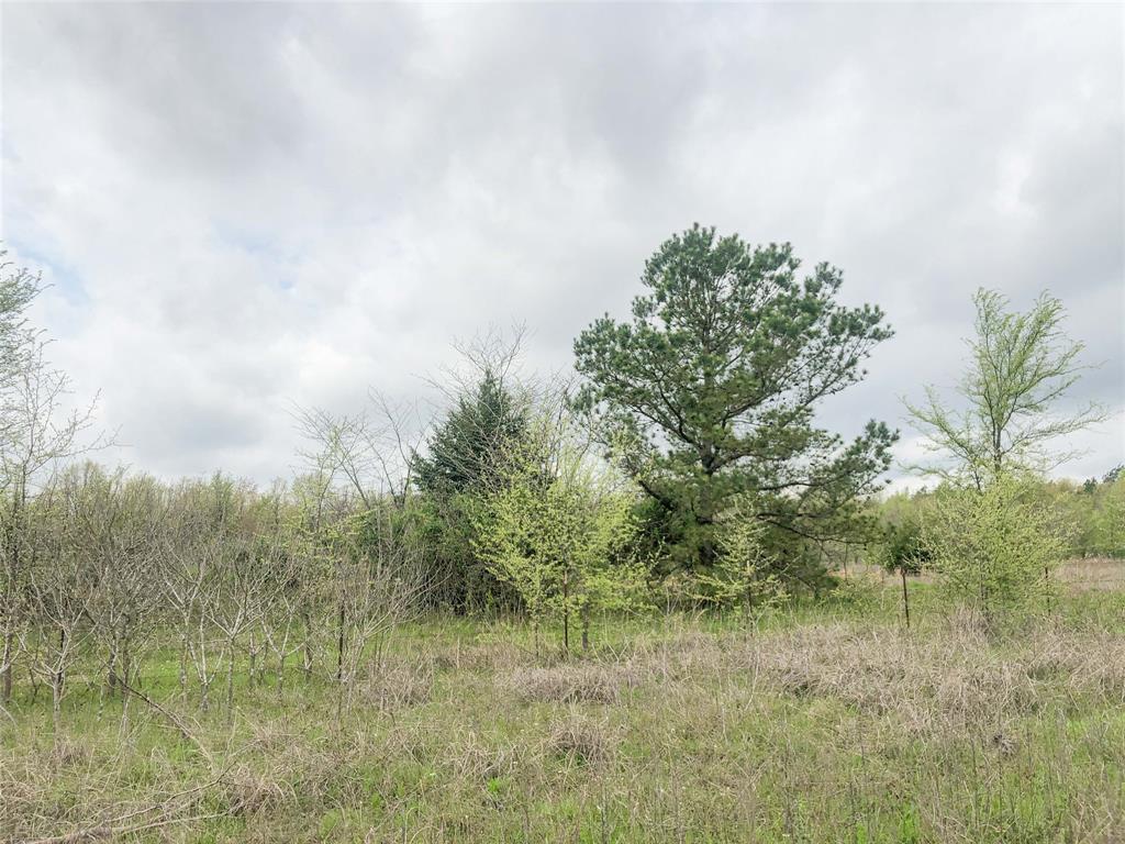 00 Cr 4640, Avery, Texas image 15