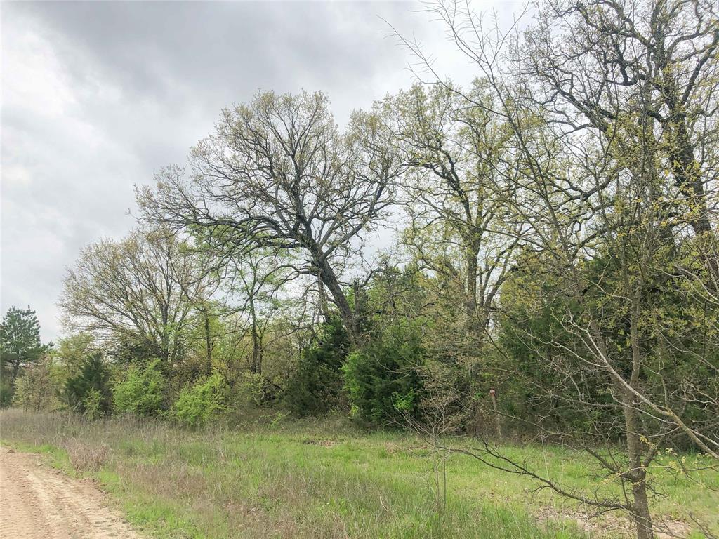 00 Cr 4640, Avery, Texas image 8