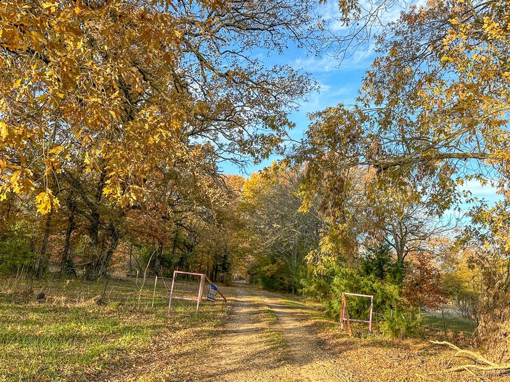 00 Cr 4640, Avery, Texas image 3