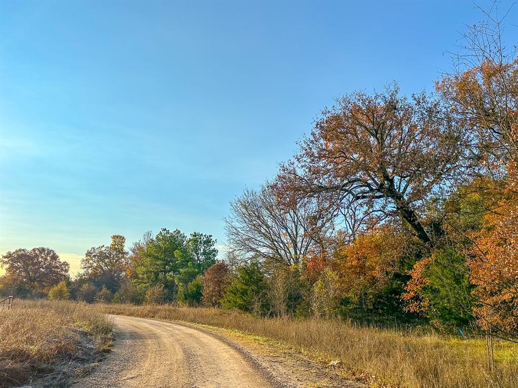 00 Cr 4640, Avery, Texas image 2