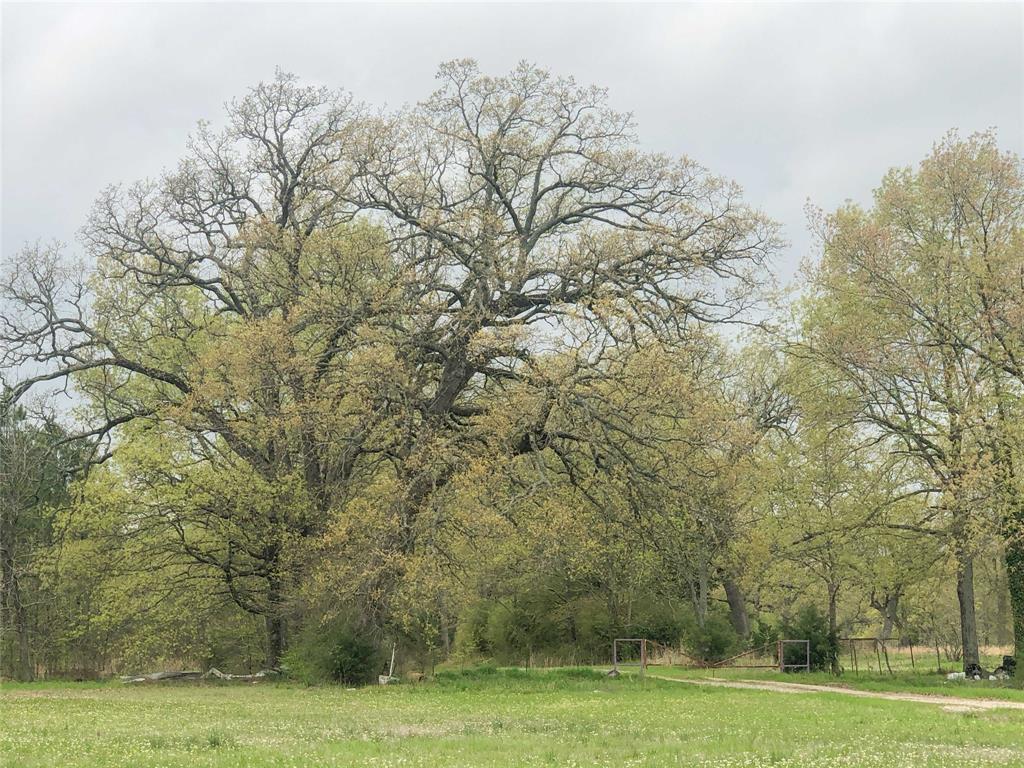 00 Cr 4640, Avery, Texas image 6