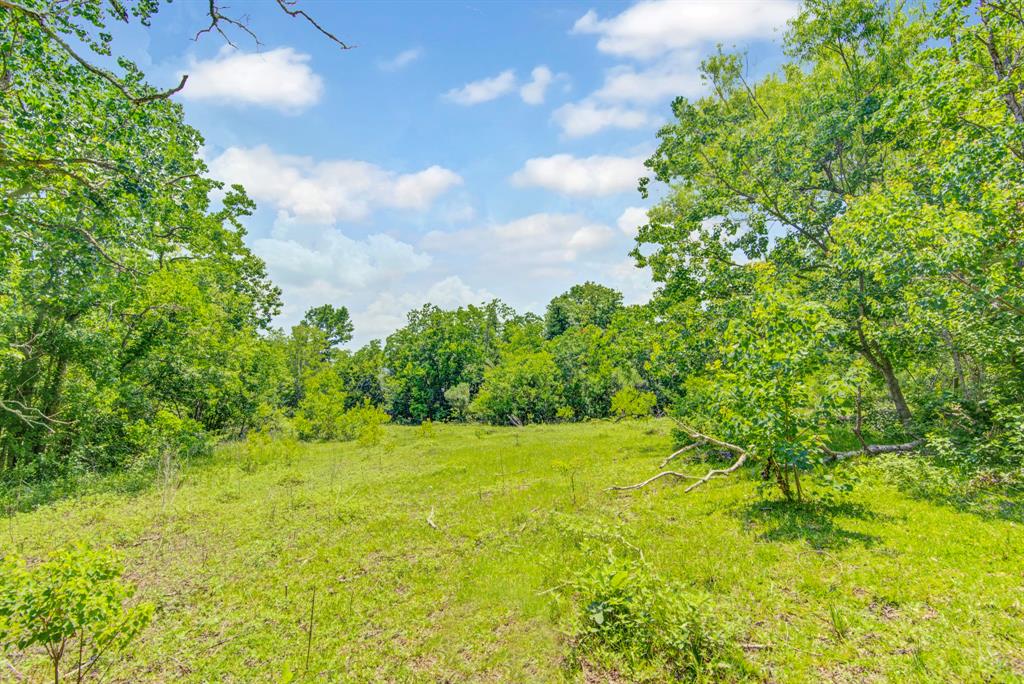 8458 Fm 1960, Dayton, Texas image 24
