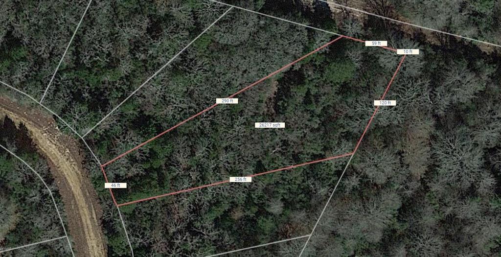 Lot 47 Austin Colony Drive, Normangee, Texas image 2