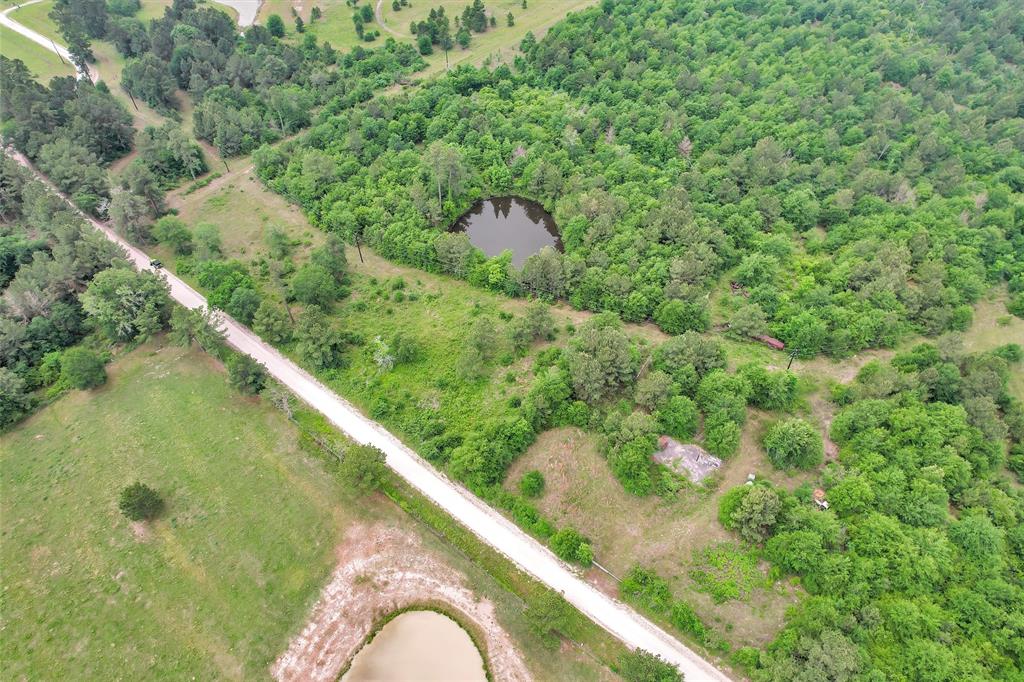 TBD Dickey Loop, Bedias, Texas image 38
