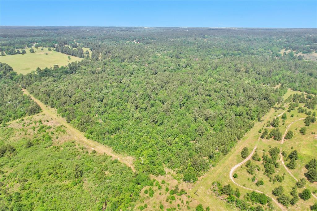 TBD Dickey Loop, Bedias, Texas image 27