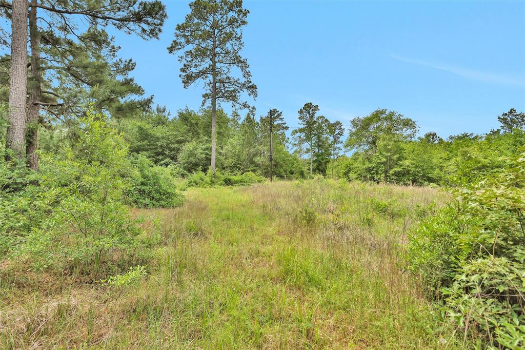 TBD Dickey Loop, Bedias, Texas image 13