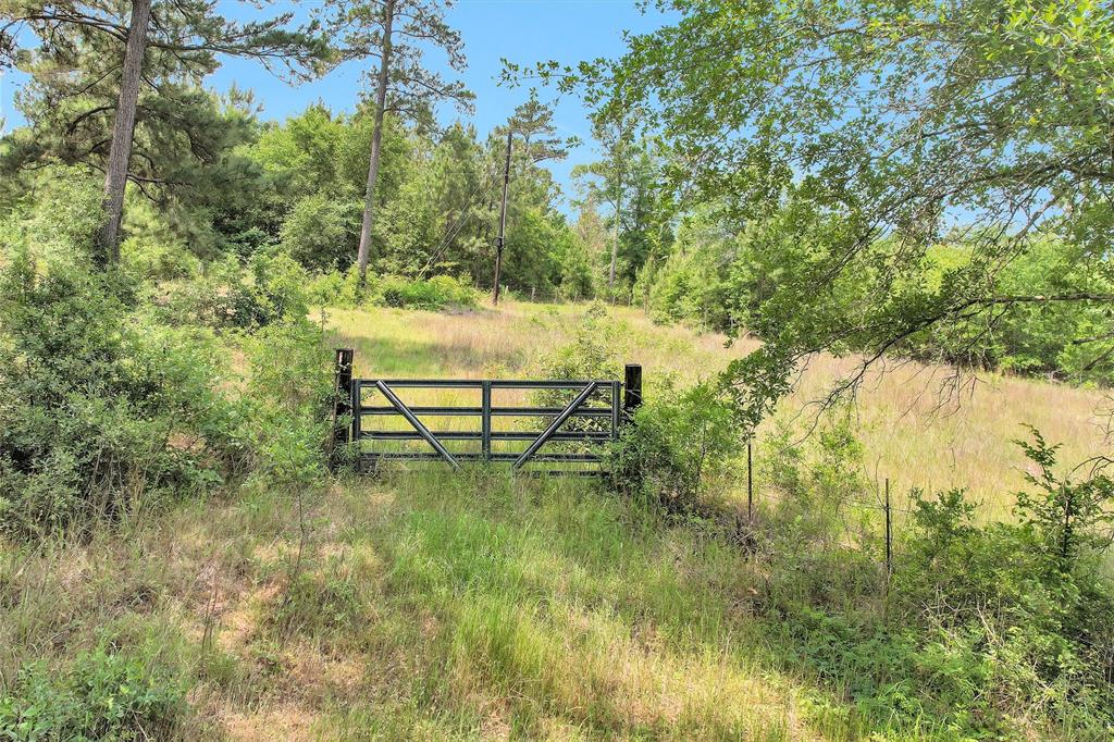 TBD Dickey Loop, Bedias, Texas image 15
