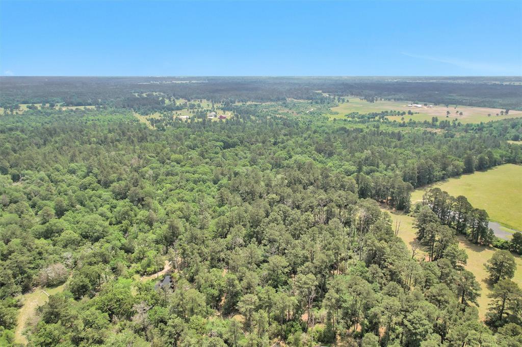 TBD Dickey Loop, Bedias, Texas image 33