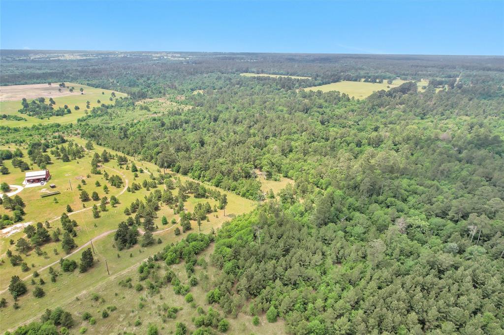 TBD Dickey Loop, Bedias, Texas image 25