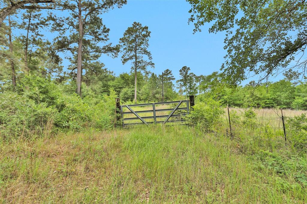 TBD Dickey Loop, Bedias, Texas image 12