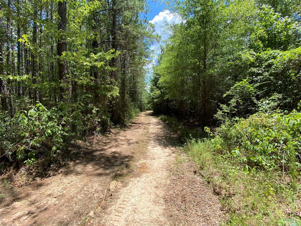 TBD3 Fm 222 Road, Shepherd, Texas image 10