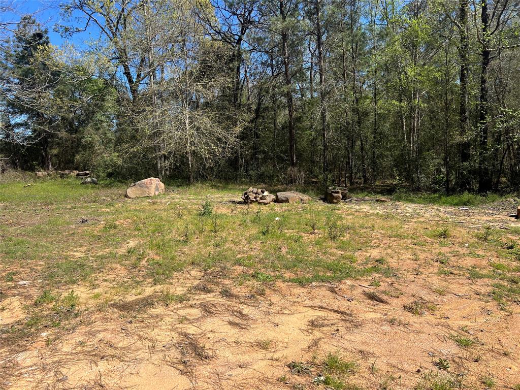 7303 Circle Drive, Montgomery, Texas image 1