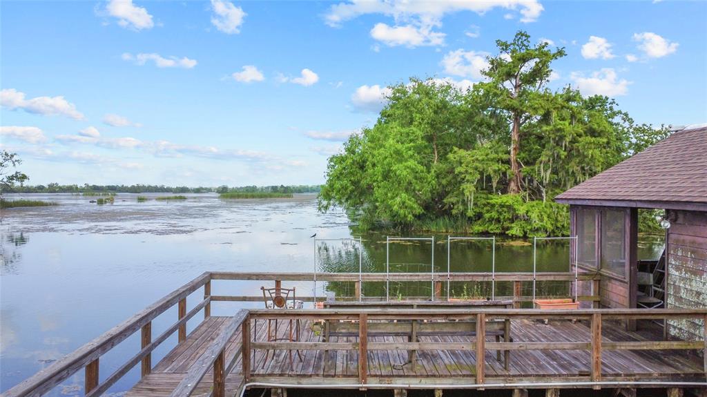 30523 Plantation Drive #37, Damon, Texas image 31