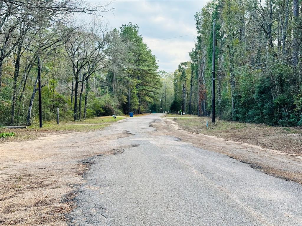 Lot 9 Deep Forest Lane, Montgomery, Texas image 3