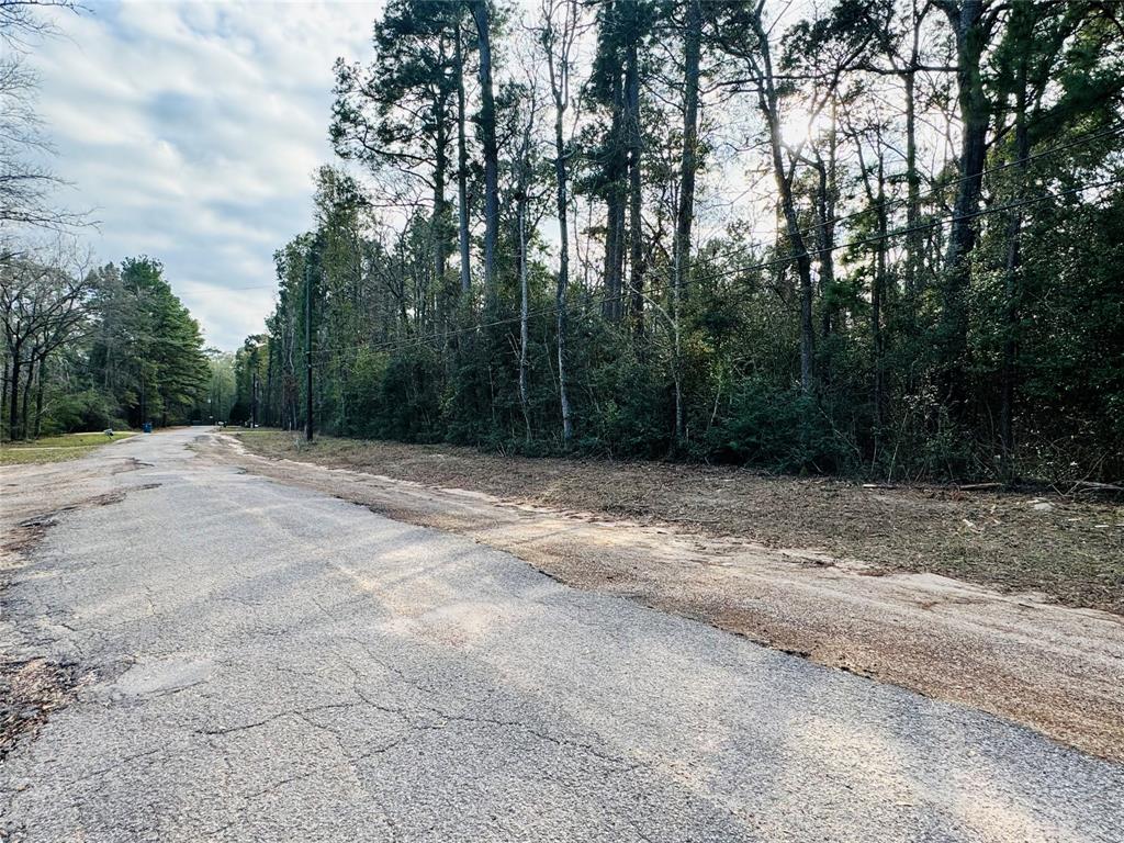 Lot 9 Deep Forest Lane, Montgomery, Texas image 1