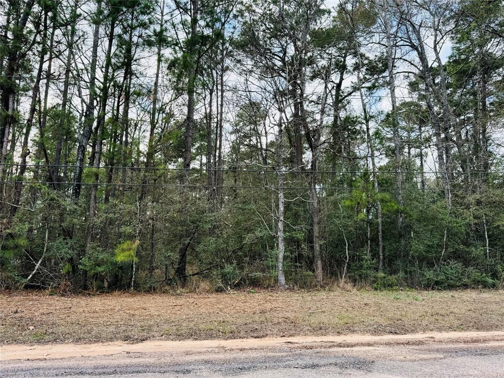 Lot 9 Deep Forest Lane, Montgomery, Texas image 6