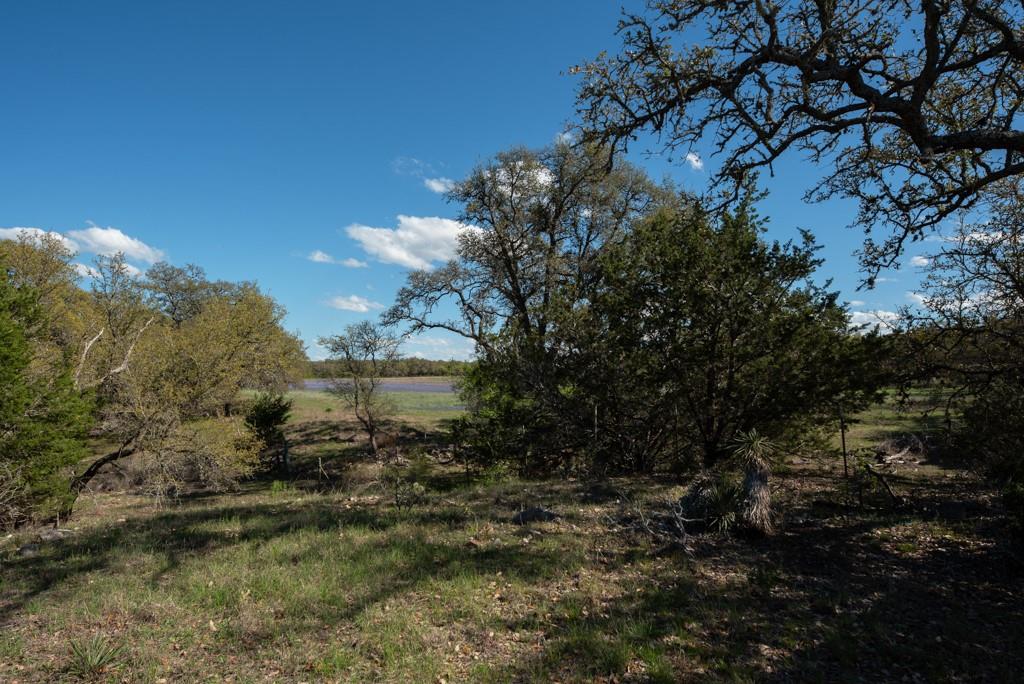 465 Bear Creek Road Rd, Fredericksburg, Texas image 48