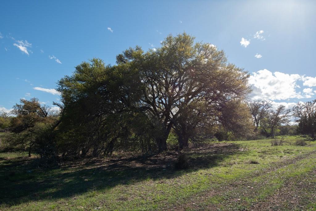 465 Bear Creek Road Rd, Fredericksburg, Texas image 49