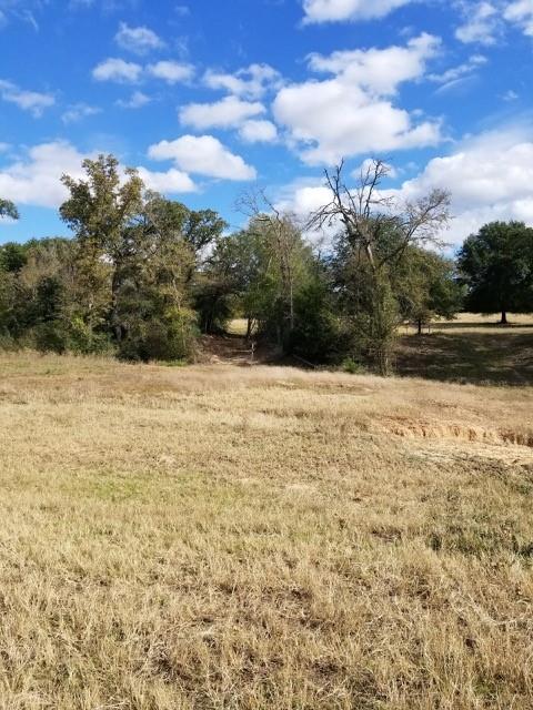 6526 Owensville Cemetery Road, Franklin, Texas image 6